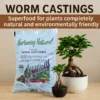 ORGANIC Worm Castings 2L – Premium Organic Fertilizer for Plants